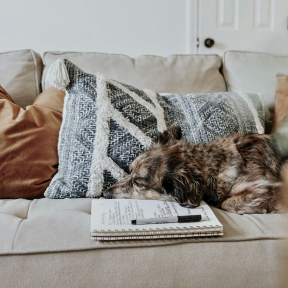 Cosy knus
